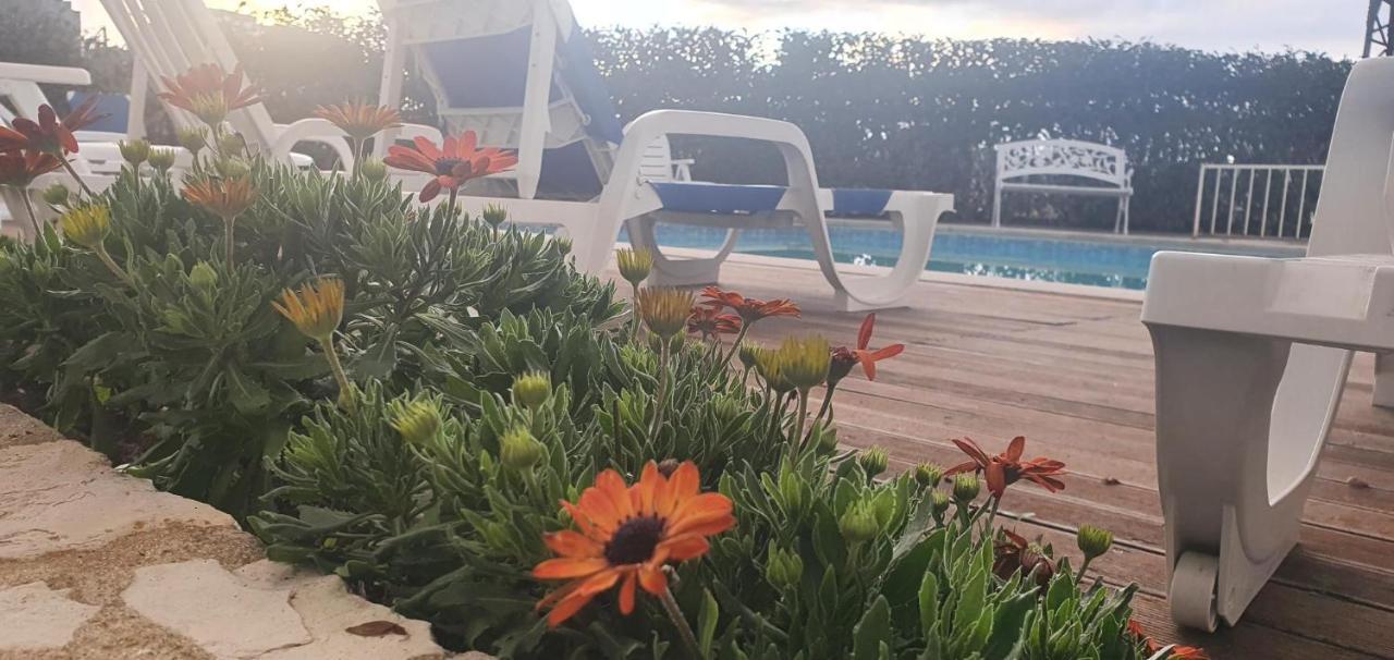 Hotel Larverde Serta Luaran gambar